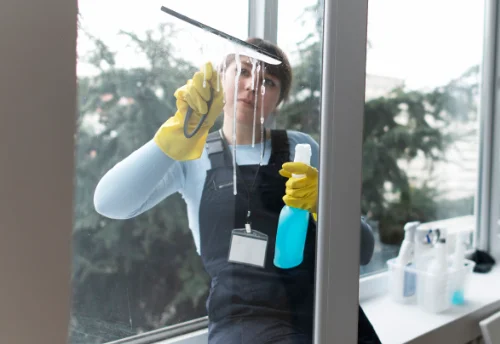 Nettoyage de vitres intérieures et extérieures à la Chapelle-Rablais